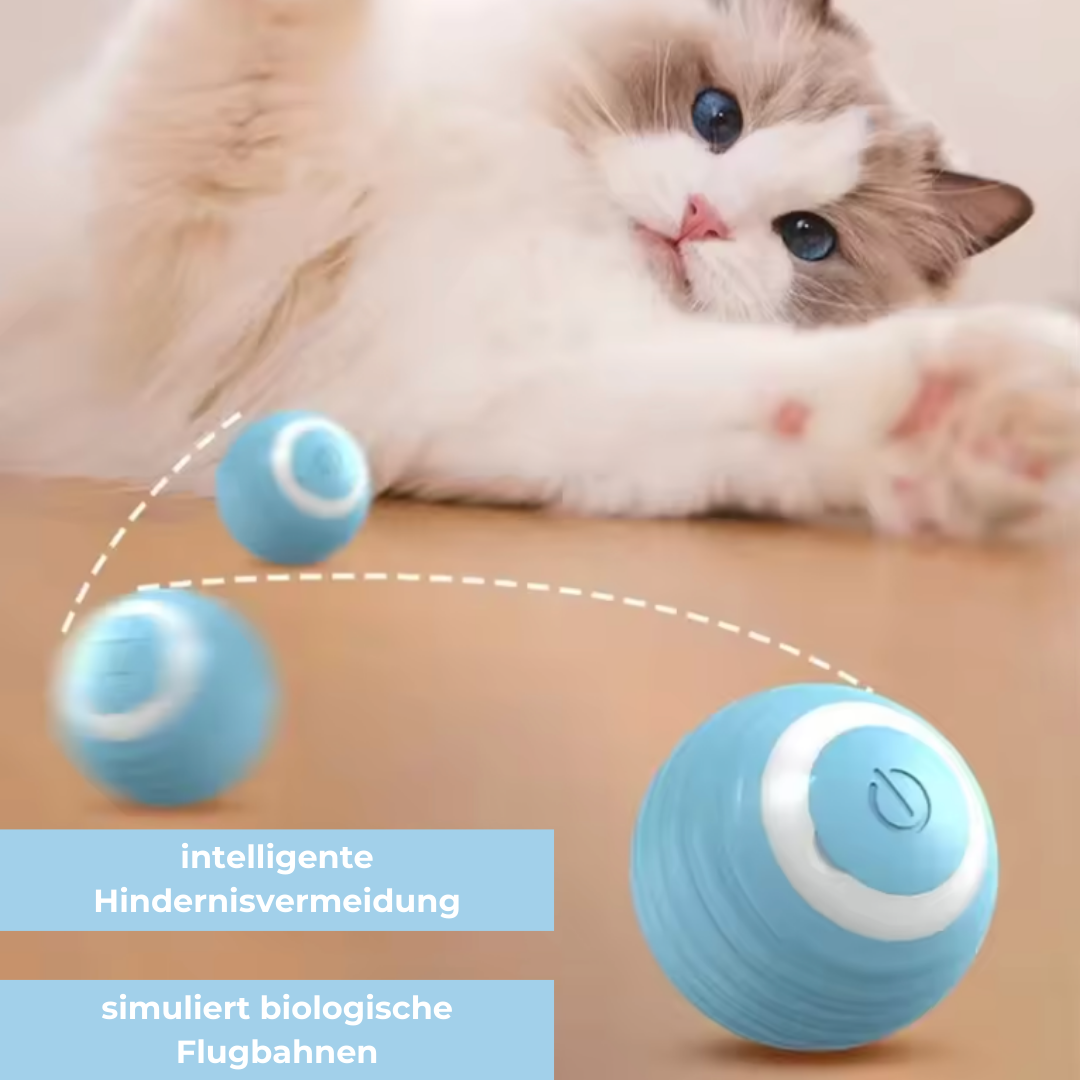 CatRoll™ - intelligenter Katzenball - GOBAYA