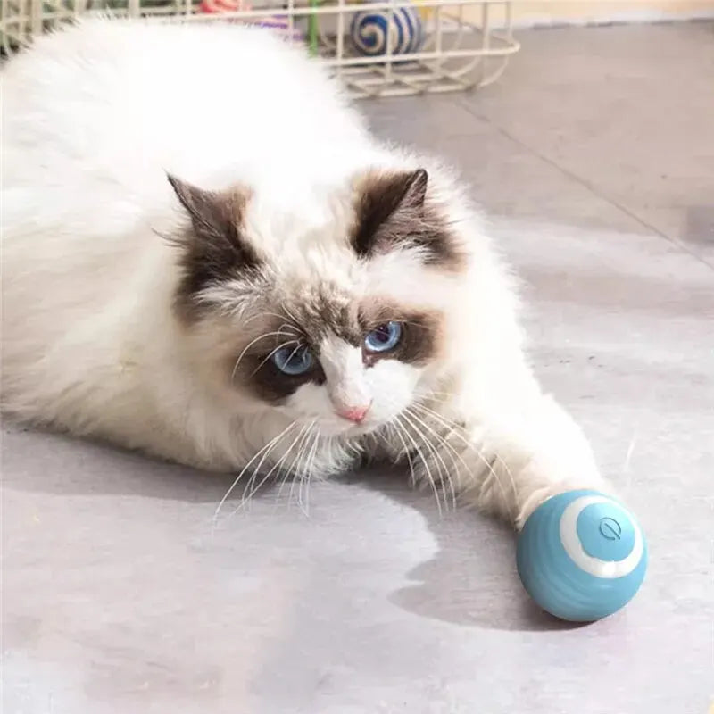 CatRoll™ - intelligenter Katzenball - GOBAYA